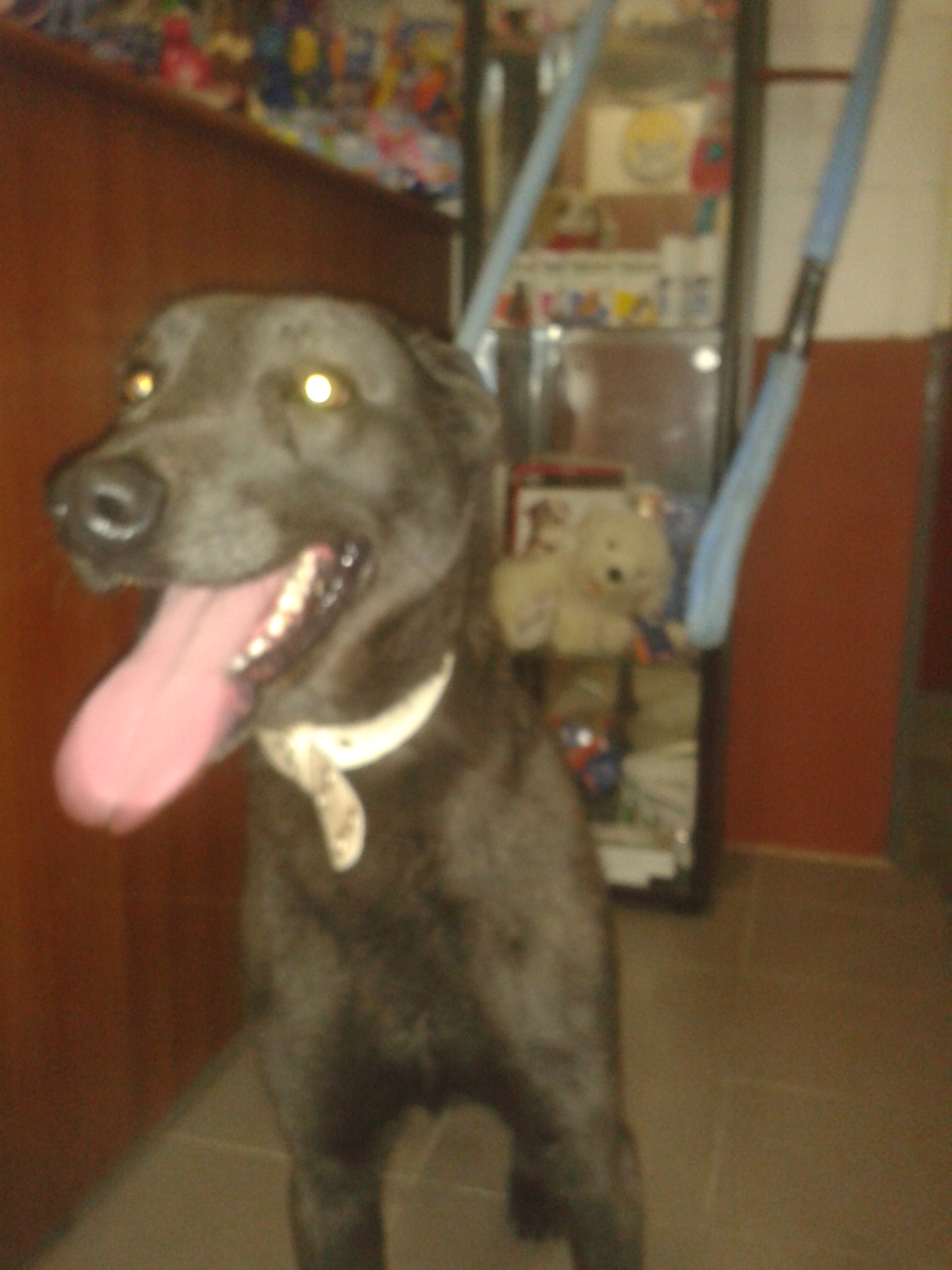 Max